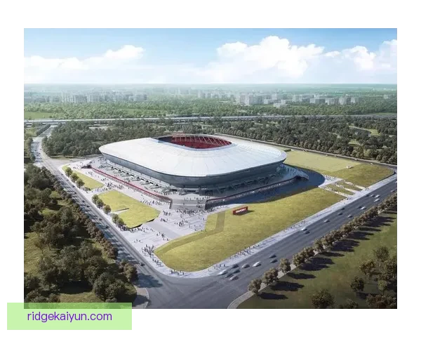 上海海港在浦东足球场的主场表现稳健，备受关注